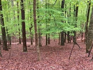 Lt 1871 Newport Dr, Ellijay, GA 30540