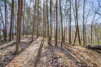 0 Westview Dr Unit 7502876, Jasper, GA 30143