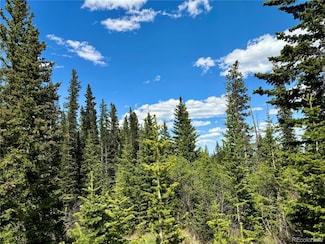 632 El Lobo Ln Unit 696, Fairplay, CO 80440