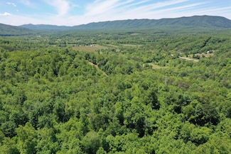 TBD the Knob Rd, Goshen, VA 24439