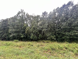 292 Walnut Springs Dr, Washington Township, MO 65624