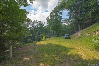 001 Lothlorien Ln, Marshall, NC 28753