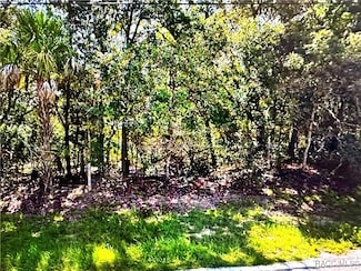 3617 N Annapolis Ave, Hernando, FL 34442