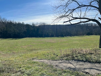 Tract 7a Route 4, Squires, MO 65755