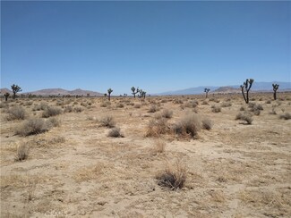 0 Vicinity Avenue H10 & 145 St E Unit SR22055374, Lancaster, CA 93535