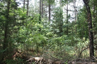 0 Hwy 278 & Hempstead 313, Nashville, AR 71852