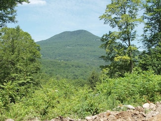00 Finbar's Forest Rd, Manchester, VT 05255