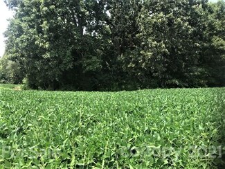00 Russell Pope Rd, Wingate, NC 28174
