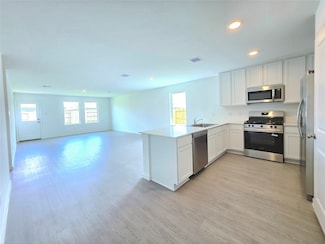 26818 Zebra Grass Dr, Katy, TX 77493