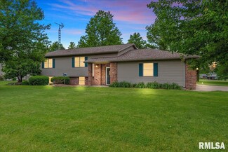 201 Nichols Ln, Loami, IL 62661