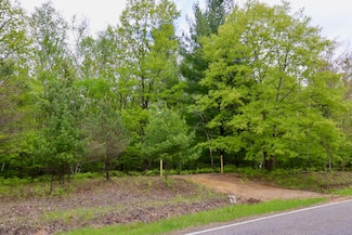 V/L E Levely Rd, Mills Township, MI 48652