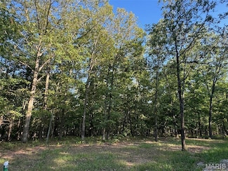 150 Steeple Point Dr Lot #10 Dr, Defiance, MO 63341