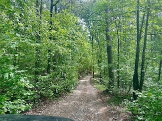 0 Charlie Lemley Rd Unit 23726251, Dawsonville, GA 30534