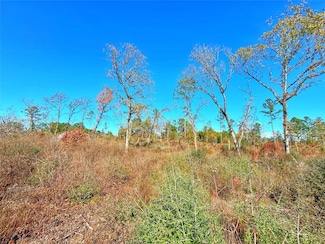 Tract 1 Farm To Market 2022, Grapeland, TX 75844