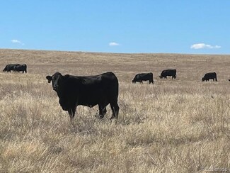 0 Tbd County Road 194, Elbert, CO 80107