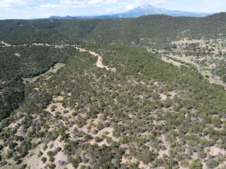 32498 Lower Spur, Aguilar, CO 81020