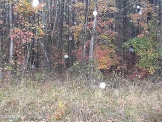 Lot 2 Suela Beach, Hertford, NC 27944