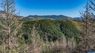 349 N Maple Dr, Otis, OR 97368