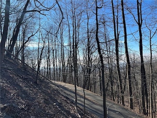 Lt1535 Moss Patch Trail, Jasper, GA 30143