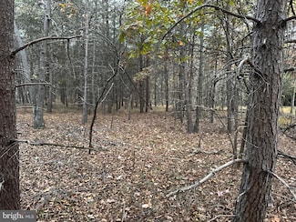 Lot 58 Medford Ln, Berkeley Springs, WV 25411