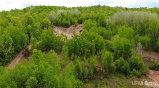TBD 1 Section Line Rd, Interior Township, MI 49967