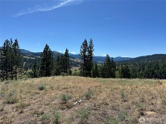 2 B Lundimow Meadows Rd, Curlew, WA 99118