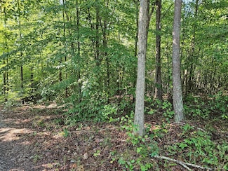 0 Abilene Rd, Keysville, VA 23947