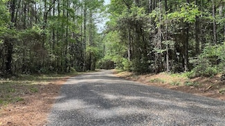 Kirby Creek Rd Unit LotWP001, Wiggins, MS 39577