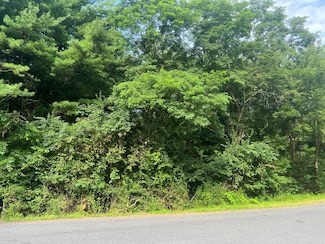 0 Clapper Ridge Rd, James Creek, PA 16657