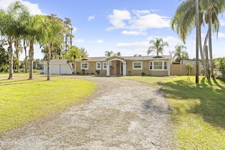 20228 County Line Rd, Lutz, FL 33558