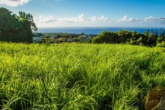 3660 Lolo Rd Unit B, Kalaheo, HI 96741