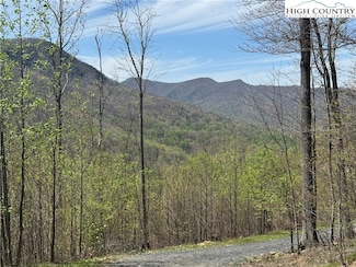 2A Doe Ridge Dr, West Jefferson, NC 28694