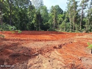1063 Dry Creek Rd, Mendenhall, MS 39114
