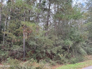 0 Dupont Harts Chapel Rd Unit 4103357, Poplarville, MS 39470