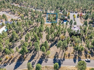 341 E Huckleberry Ln, Show Low, AZ 85901