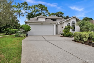 11 Byrsonima Loop, Homosassa, FL 34446