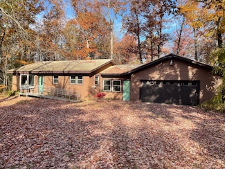 7468 W 6 1 2 Mile Rd, Irons, MI 49644