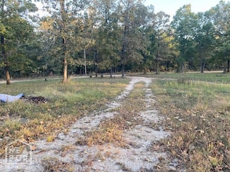 1580 Sierra Loop, Pocahontas, AR 72455