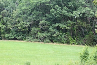 0 County Line Rd Unit 25021610, Nashville, AR 71852