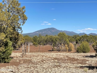 7065 Tulip Trail Unit 9, Williams, AZ 86046