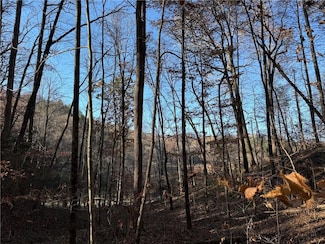 00 Whitepath Rd, Ellijay, GA 30540