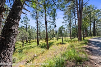 112 Course View Dr, Ruidoso, NM 88345