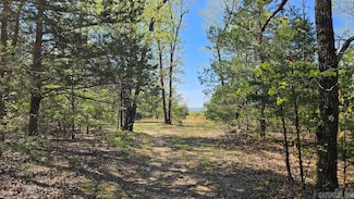 0 Queens Rd, Big Flat, AR 72639