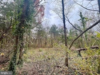 0 Greenway Ln Unit VAPA2005538, Luray, VA 22835