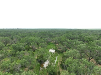 0 Farm To Market Road 472, Bigfoot, TX