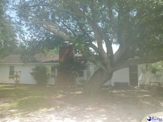 325 Magnolia St, Olanta, SC 29114