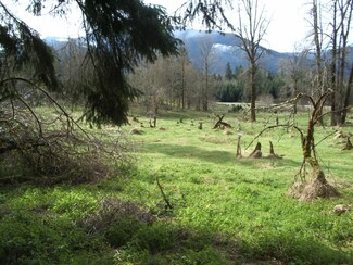 33111 Mt Tahoma Canyon Rd E, Ashford, WA 98304