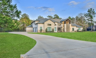 29314 Village Ridge Ct, Magnolia, TX 77355