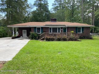 623 Lightsey Street Extension, Hampton, SC 29924