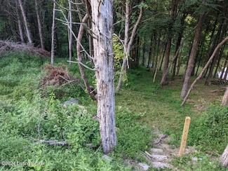 215A Trailwood Lake, Bagdad, KY 40003